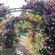 E.M. Mills Rose Garden