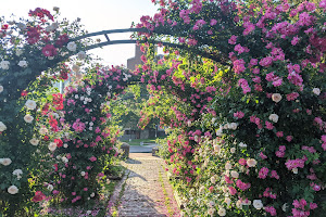 E.M. Mills Rose Garden