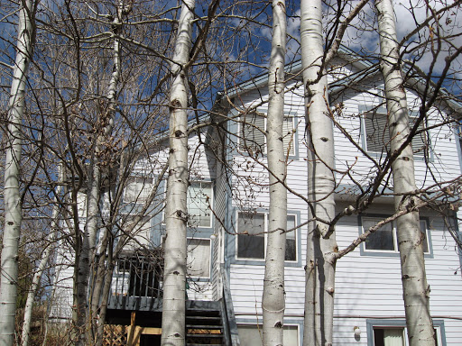 Painter «Eco Paint, Inc.», reviews and photos, 16262 E Princeton Cir, Aurora, CO 80013, USA