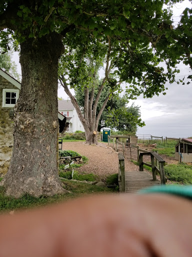 Dairy Farm «Milky Way Farm», reviews and photos, 521 E Uwchlan Ave, Chester Springs, PA 19425, USA