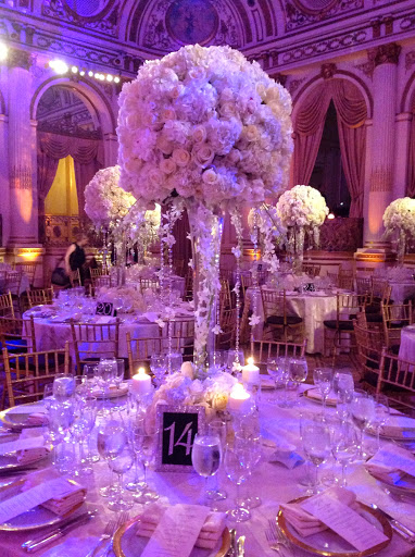 Plant Nursery «A & S Whitestone Nursery», reviews and photos, 2302 Francis Lewis Blvd, Whitestone, NY 11357, USA