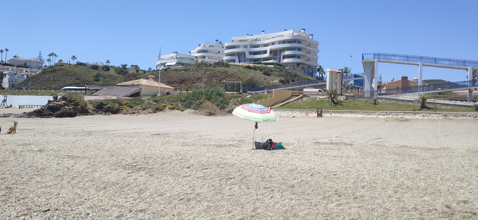 Playa Para Perros photo #9