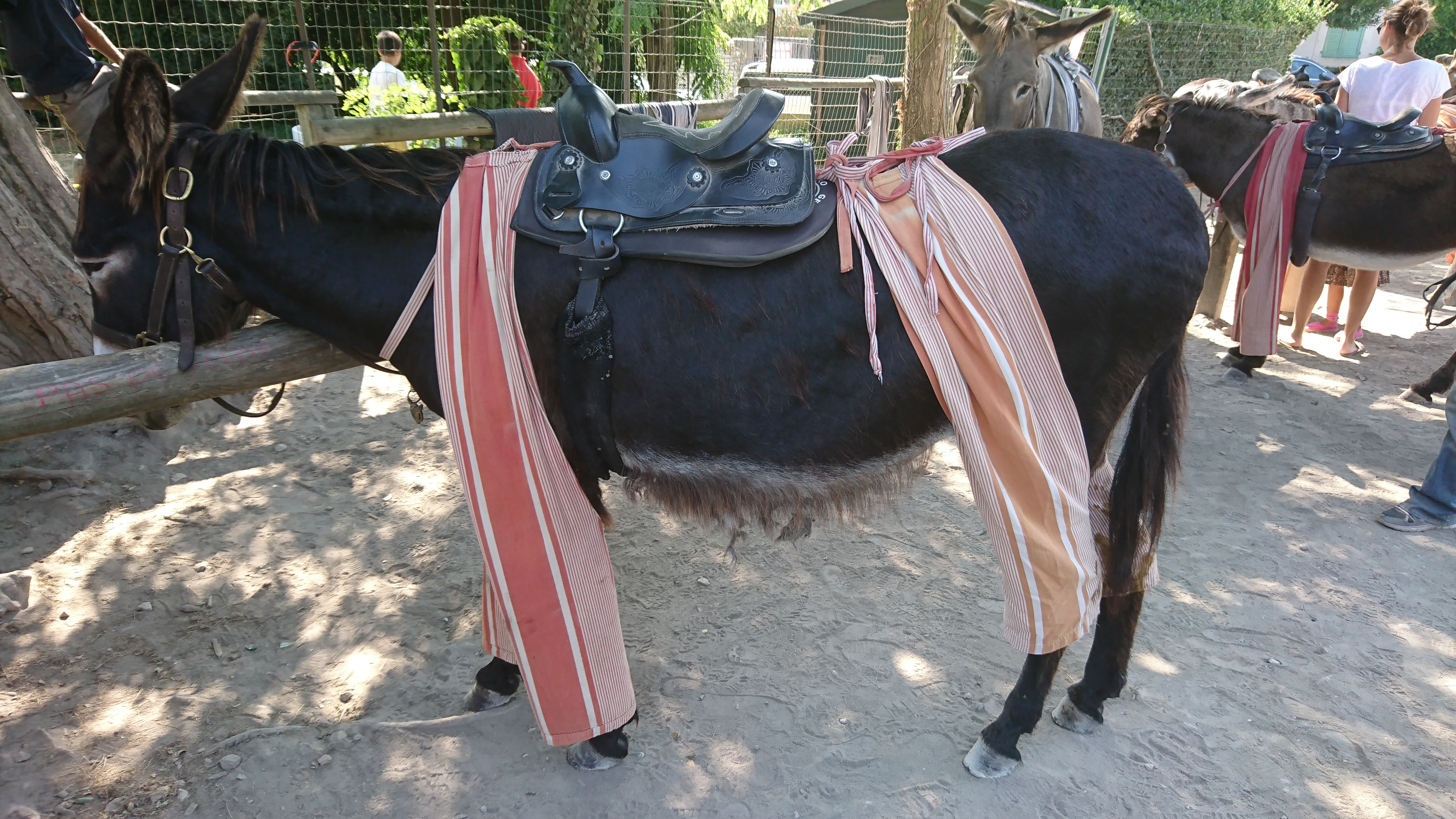 Photo n° 3 de l'avis de Stephane.e fait le 24/08/2018 à 08:35