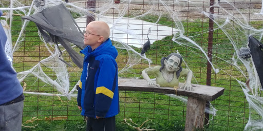 Produce Market «Kroul Farms», reviews and photos, 245 IA-1, Mt Vernon, IA 52314, USA