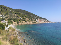 Paralia Glifoneri'in fotoğrafı imkanlar alanı
