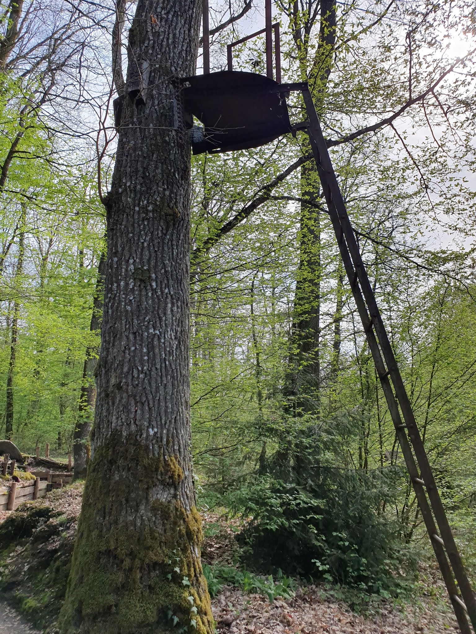 Photo n° 32 de l'avis de Nachtalb. fait le 23/04/2019 à 12:32
