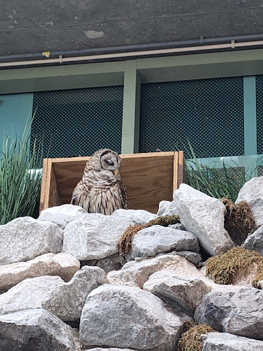 Aquarium «Audubon Aquarium of the Americas», reviews and photos, 1 Canal St, New Orleans, LA 70130, USA