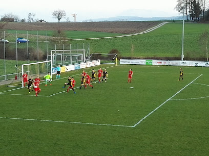 Fussballplatz Seengen