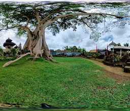 Wisata Kayu Putih photo