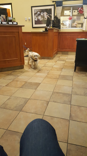 Pet Supply Store «PetSmart», reviews and photos, 5722 Fairmont Pkwy, Pasadena, TX 77505, USA