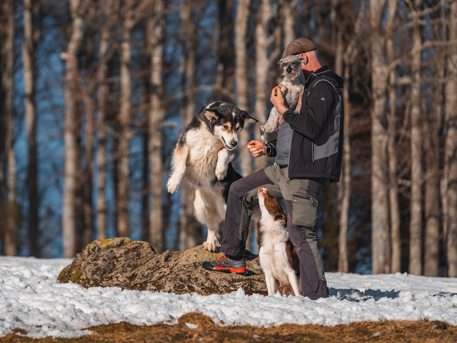 Rezensionen über Hundezentrum Freiburg in Freiburg - Hundeschule