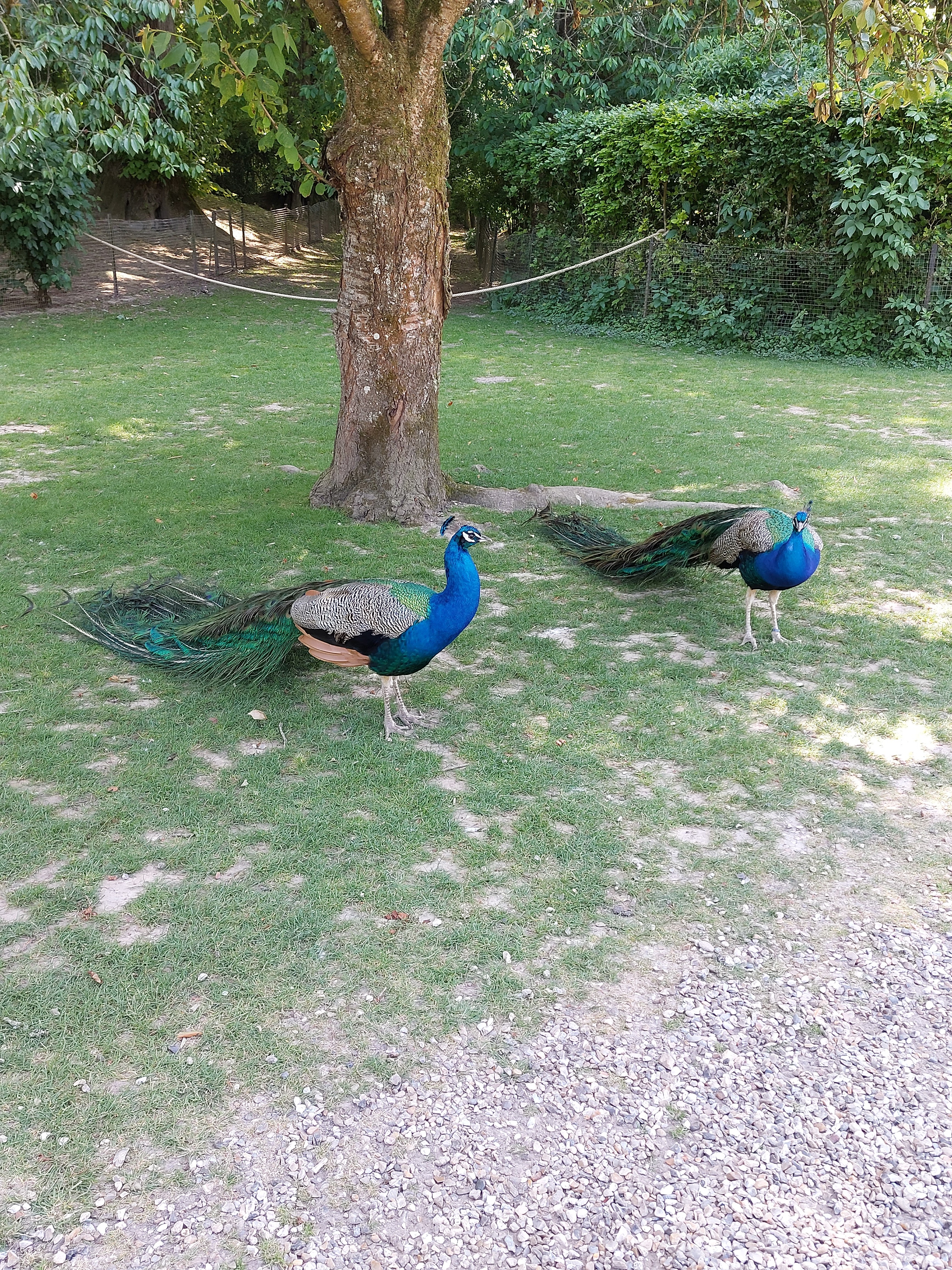 Photo n° 5 de l'avis de Anais. fait le 02/06/2023 à 17:52