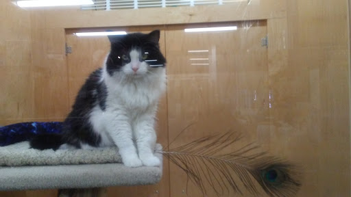 Pet Supply Store «Pet Loft», reviews and photos, 6333 SW Macadam Ave #104, Portland, OR 97239, USA