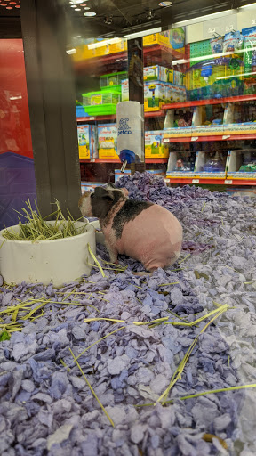 Pet Supply Store «Petco Animal Supplies», reviews and photos, 85 State St, Orem, UT 84058, USA