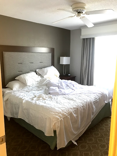 Extended Stay Hotel «Homewood Suites by Hilton Raleigh/Cary», reviews and photos, 100 Macalyson Ct, Cary, NC 27511, USA