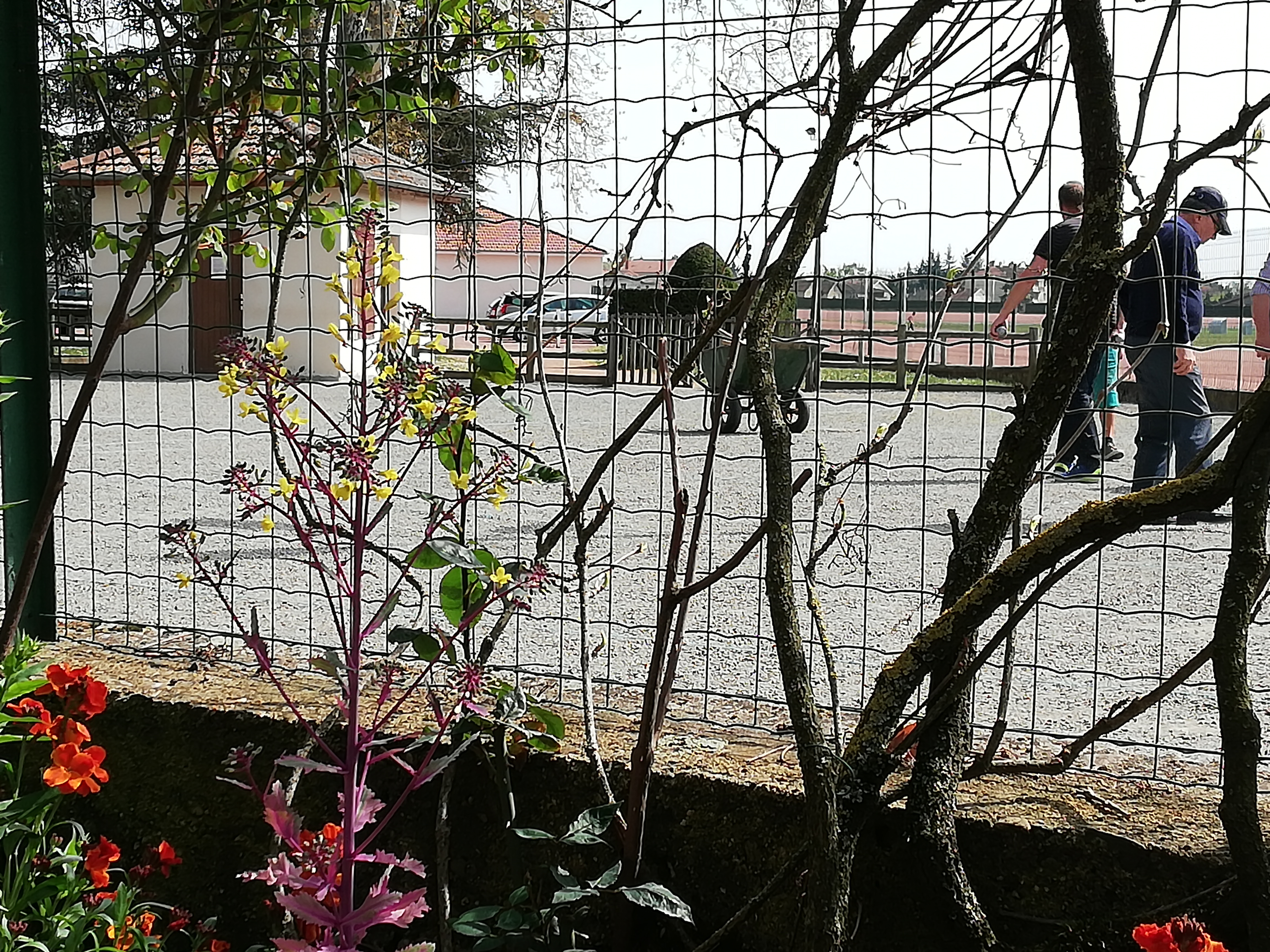 Photo n° 5 de l'avis de Bernard.o fait le 18/04/2019 à 20:54