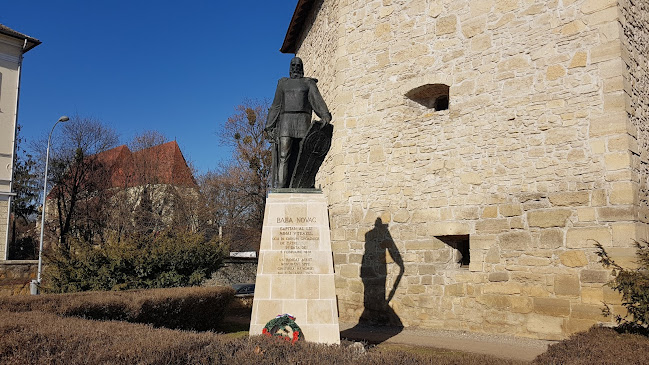 Statuia lui Baba Novac din Cluj-Napoca