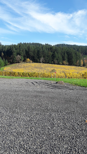 Winery «Risdall Ranch Winery», reviews and photos, 6200 NW Gales Creek Rd, Forest Grove, OR 97116, USA