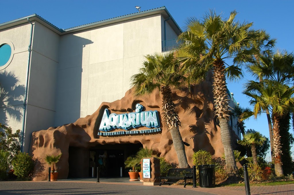 Aquarium Restaurant 77565