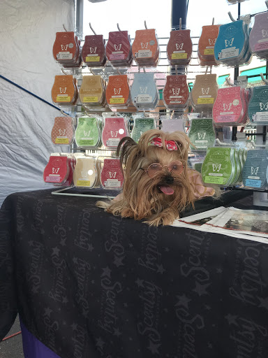 Commercial Printer «Minuteman Press», reviews and photos, 7117 US-19, New Port Richey, FL 34652, USA