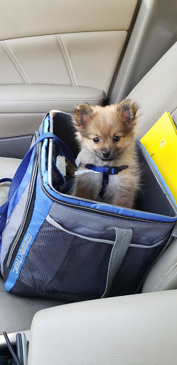 Pet Supply Store «PetSmart», reviews and photos, 3670 Von Schilling Dr, Hampton, VA 23666, USA