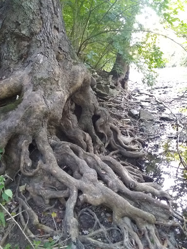 Nature Preserve «Caesar Creek Gorge State Nature Preserve», reviews and photos, 4080 Corwin Rd, Oregonia, OH 45054, USA