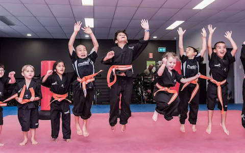 Premier Martial Arts and Fitness image