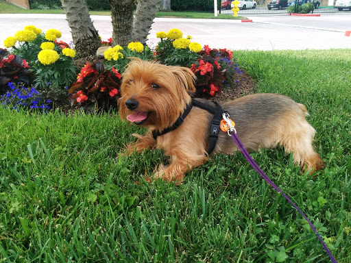 Pet Supply Store «PetSmart», reviews and photos, 573 N McKinley St, Corona, CA 92879, USA