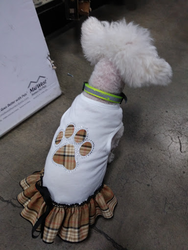 Pet Store «Pet Pals Discount Pet Foods & Supplies», reviews and photos, 3660 Soquel Dr, Soquel, CA 95073, USA