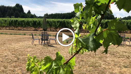 Winery «Cardwell Hill Cellars», reviews and photos, 24241 Cardwell Hill Dr, Philomath, OR 97370, USA
