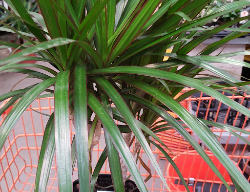 Home Improvement Store «The Home Depot», reviews and photos, 14001 E Mississippi Ave, Aurora, CO 80012, USA