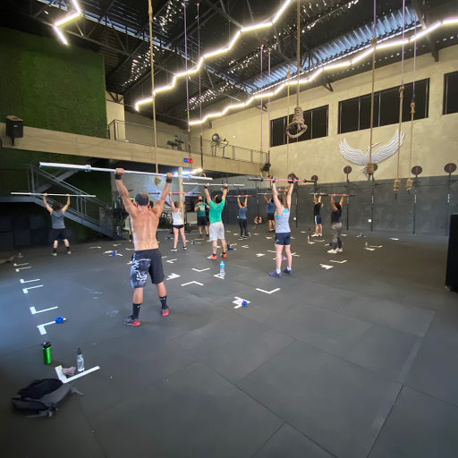 Logo da empresa - Crane Crossfit