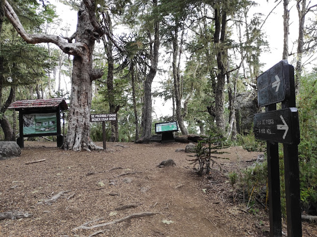 Parque Nacional Nahuelbuta - Camping