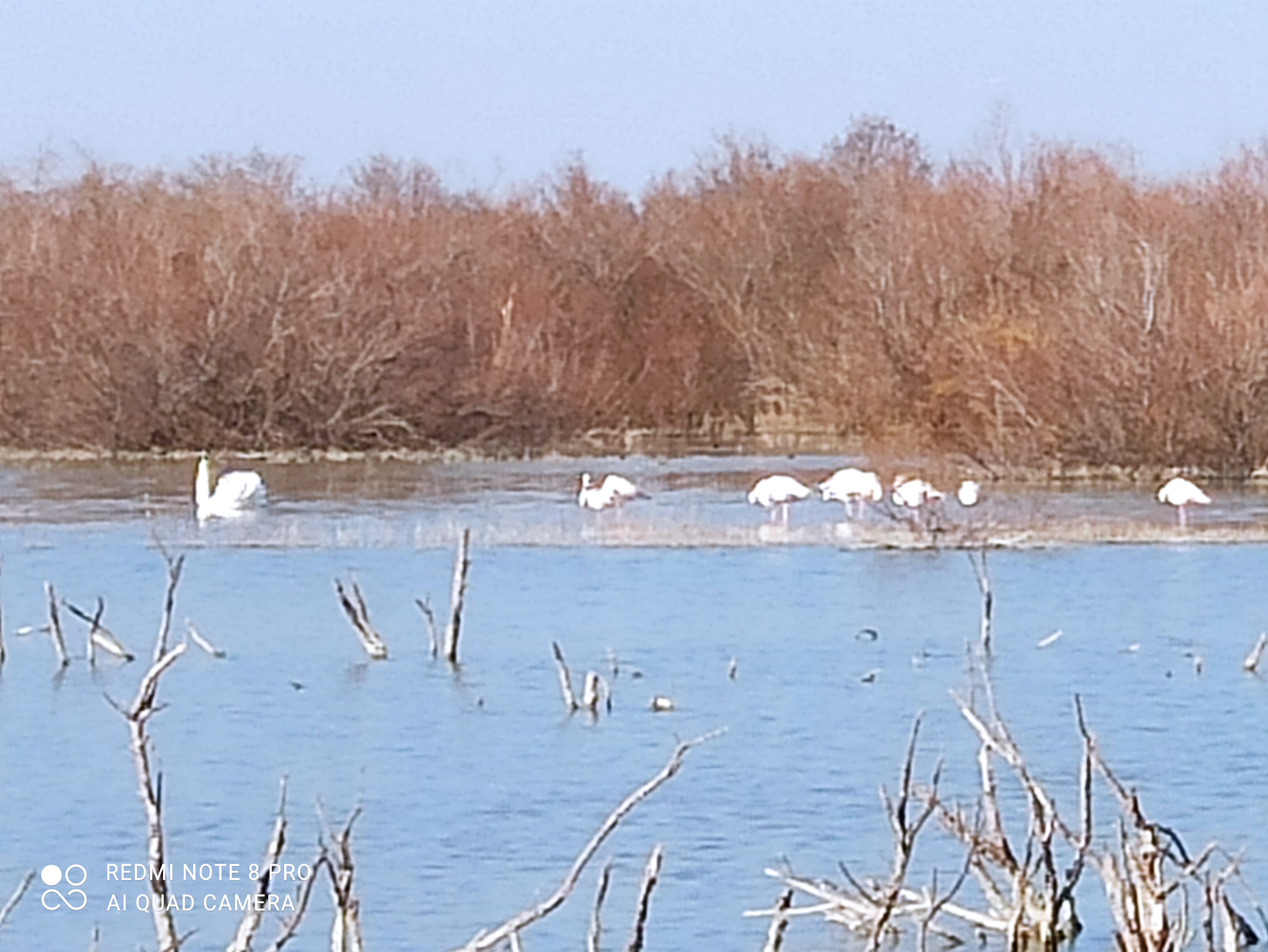 Photo n° 8 de l'avis de Frédéric.a fait le 06/03/2022 à 18:29