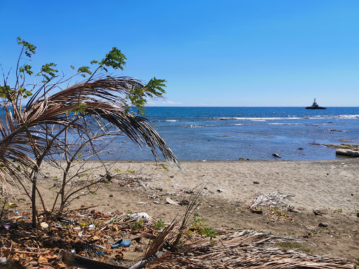 Playa Palenque