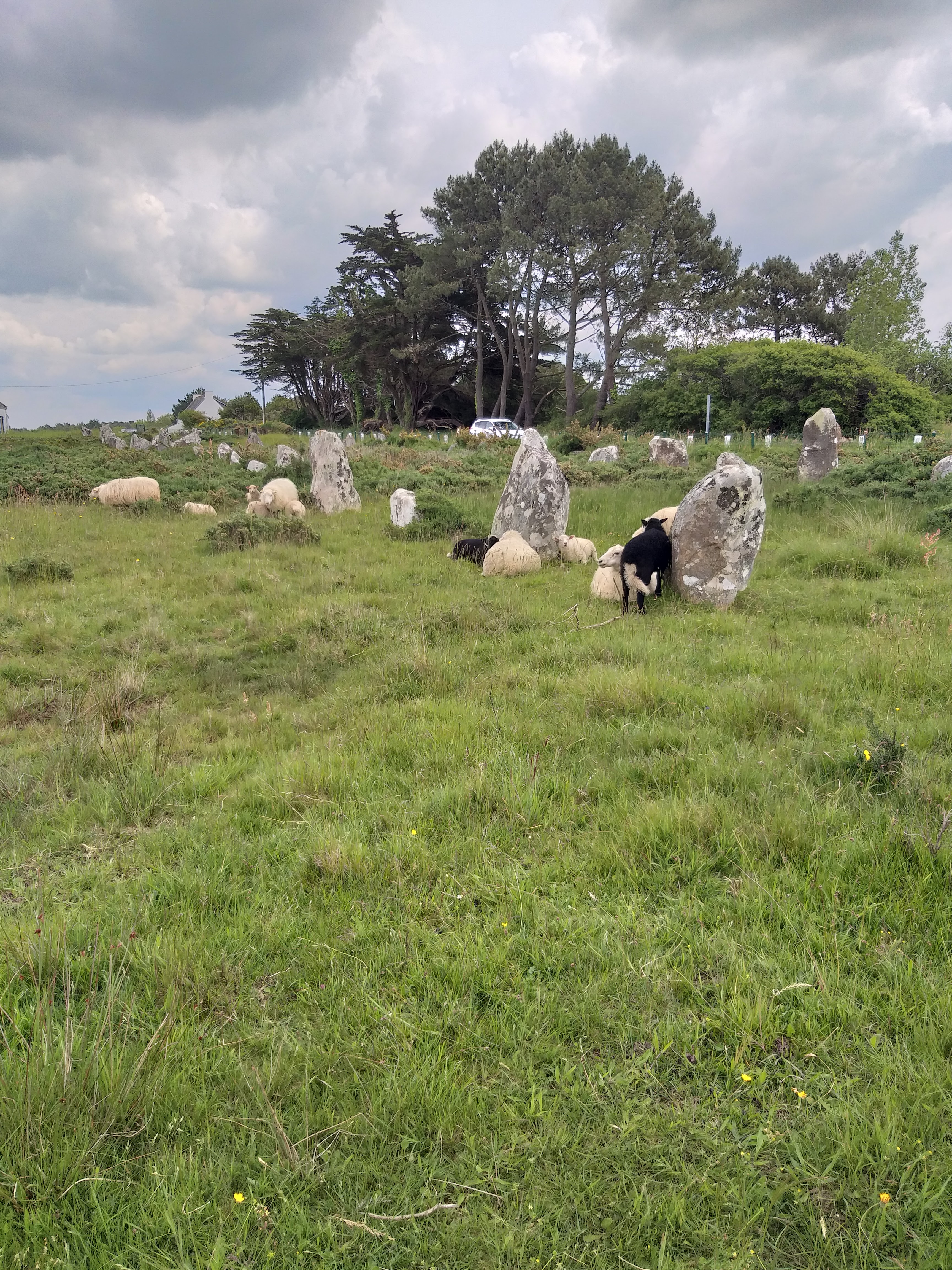 Photo n° 3 de l'avis de Soph. fait le 18/05/2023 à 17:01