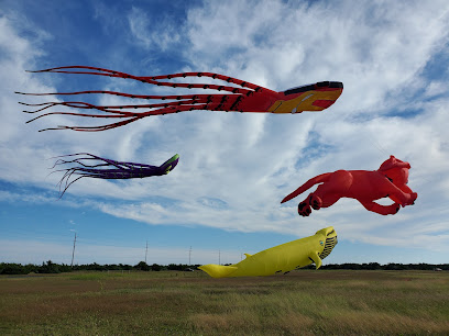 Great American Kites