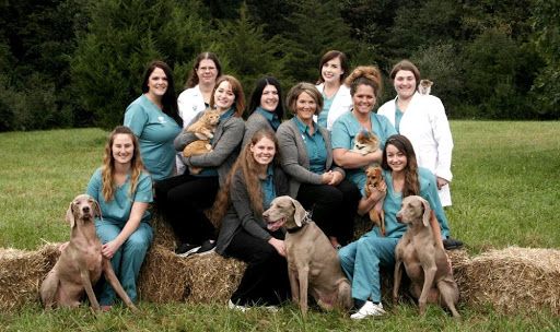 Oak Knoll Animal Hospital image