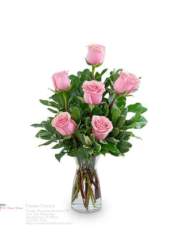 Florist «Flower Forrest», reviews and photos, 7101 San Pedro Ave, San Antonio, TX 78216, USA