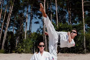Herbowski Klub Oyama Karate image