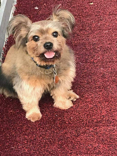 Pet Supply Store «EarthWise Pet Panama City», reviews and photos, 632 W 23rd St, Panama City, FL 32405, USA