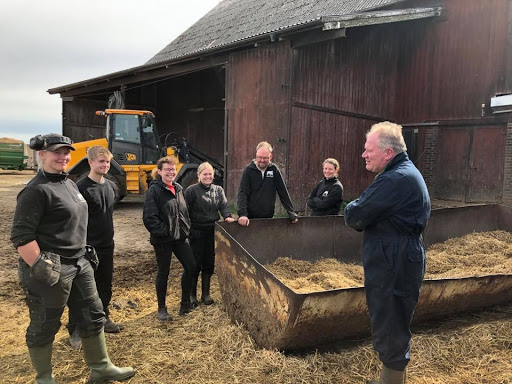 Martin Kavanagh Veterinary Consultant