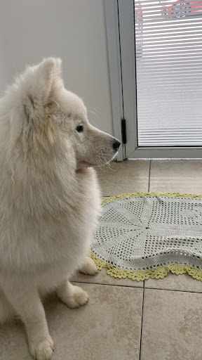 Auquimia Clínica Veterinária em São José dos Campos - SP