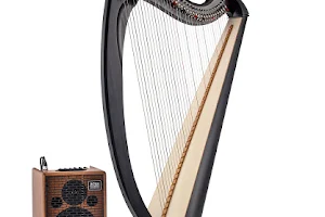 Salvi Harps (N.S.M. SPA) image