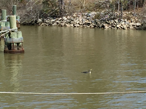 History Museum «Jamestown Settlement», reviews and photos, 2110 Jamestown Rd, Williamsburg, VA 23185, USA