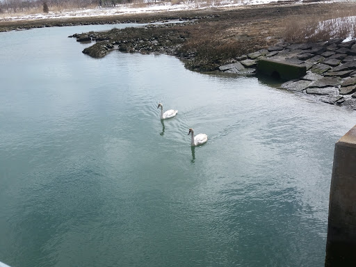 State Park «Belle Isle Marsh Reservation», reviews and photos, Bennington St, East Boston, MA 02128, USA