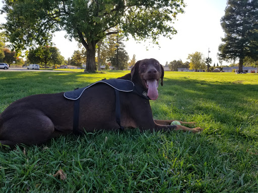 Carmichael Park image