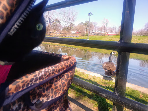 Recreation Center «Senter Recreation Center», reviews and photos, 901 Senter Rd, Irving, TX 75060, USA