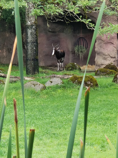 Zoo «Oregon Zoo», reviews and photos, 4001 Southwest Canyon Road, Portland, OR 97221, USA