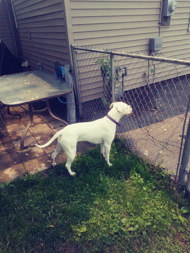 Pet Supply Store «Pet Supplies Plus», reviews and photos, 859 N Telegraph Rd, Monroe, MI 48162, USA